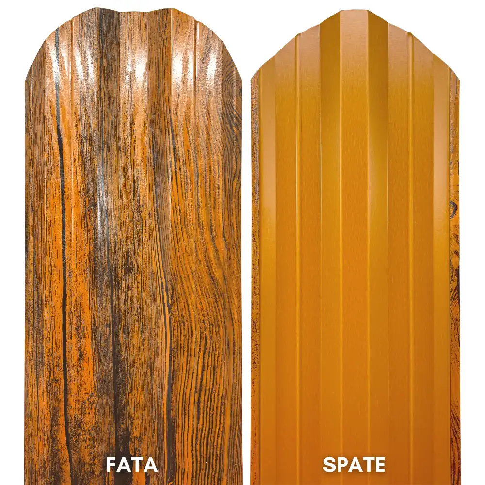 stejar-striat22